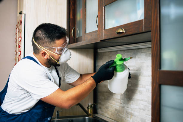 Best Flea Control Services  in Pine Air, FL