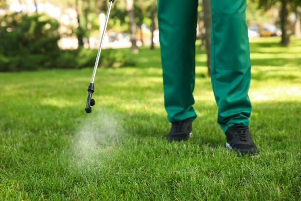 Best Flea Control Services  in Pine Air, FL