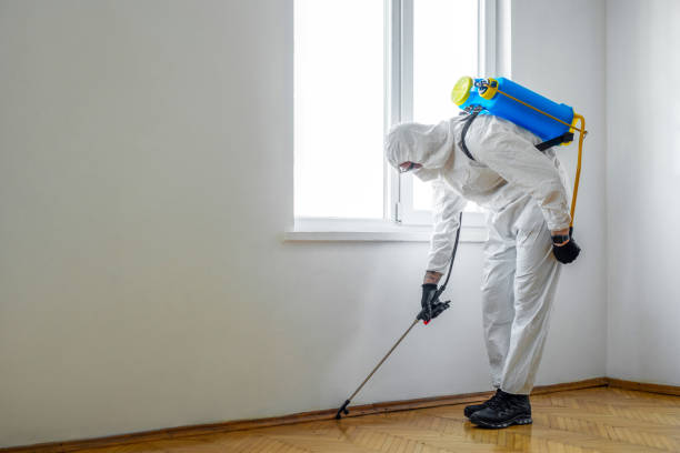 Best Pest Inspection Near Me  in Pine Air, FL