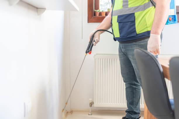 Best Mosquito Control Services  in Pine Air, FL