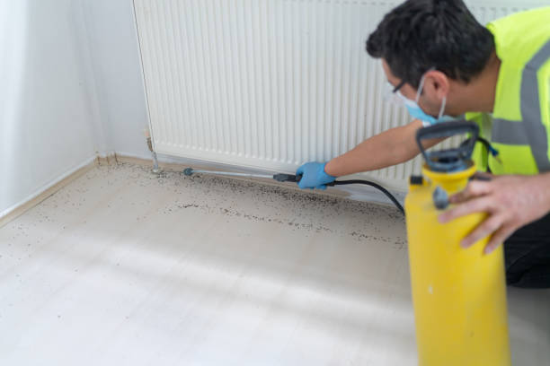 Best Local Pest Control Services  in Pine Air, FL