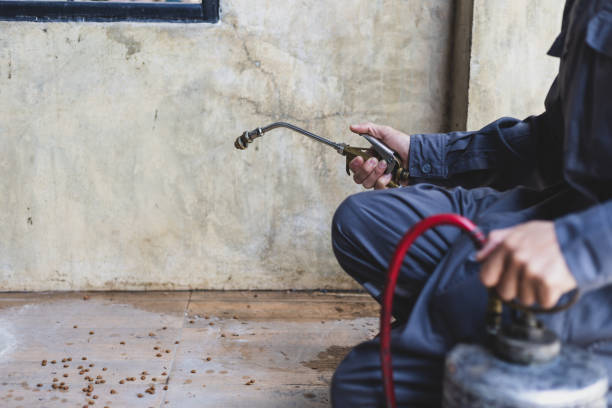 Best Pest Prevention Services  in Pine Air, FL