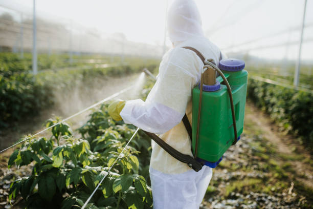 Best Pest Control Near Me  in Pine Air, FL